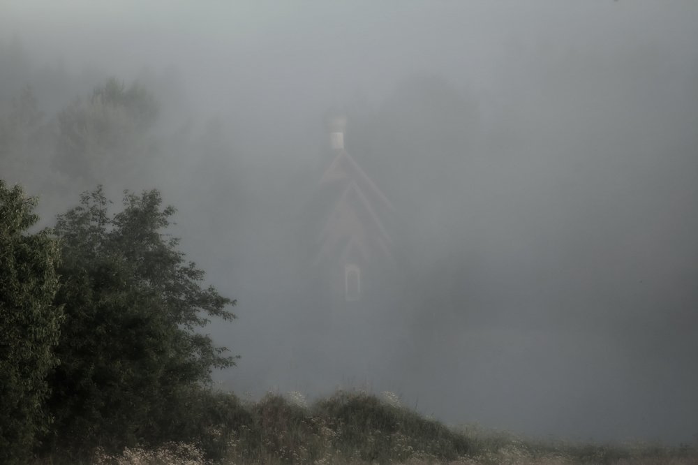 Photograph by Белова Лариса