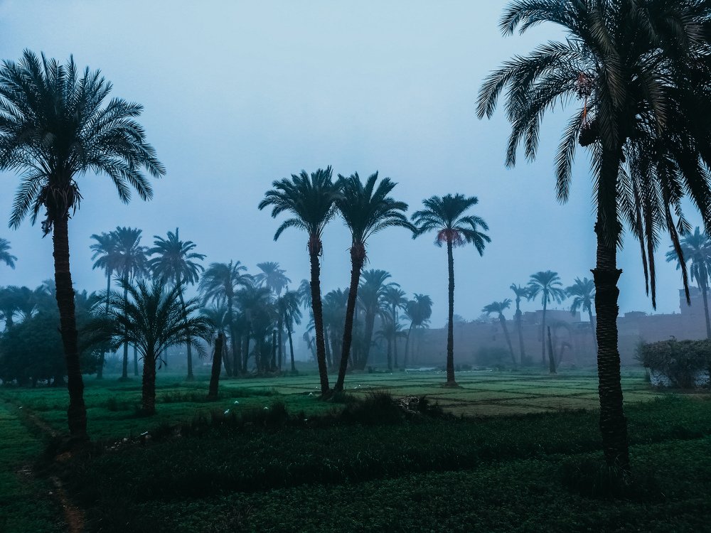 Фотография автора Fadyashrafmahfouz