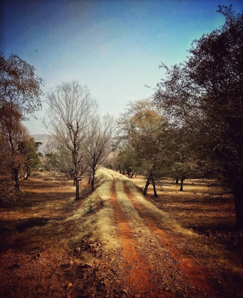 Photograph by Oishi Biswas