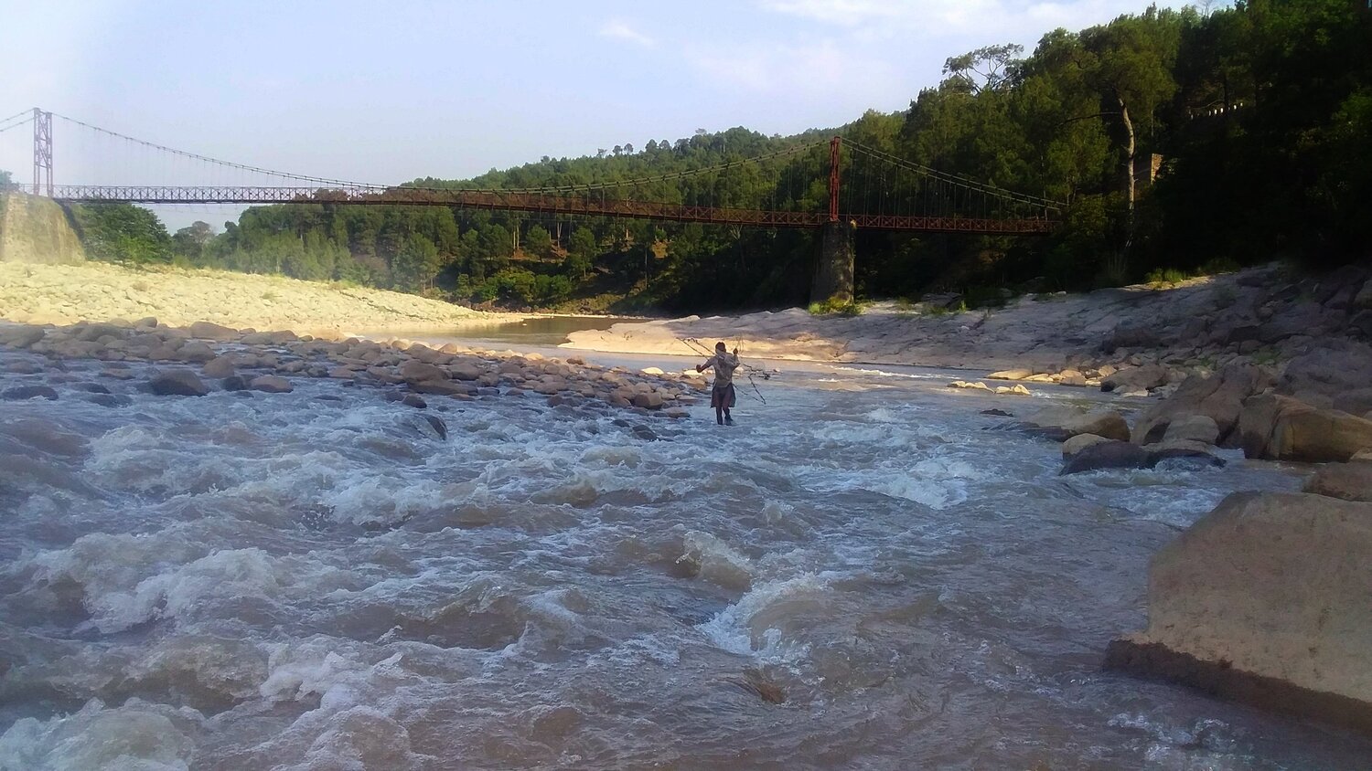 Photo #4744745