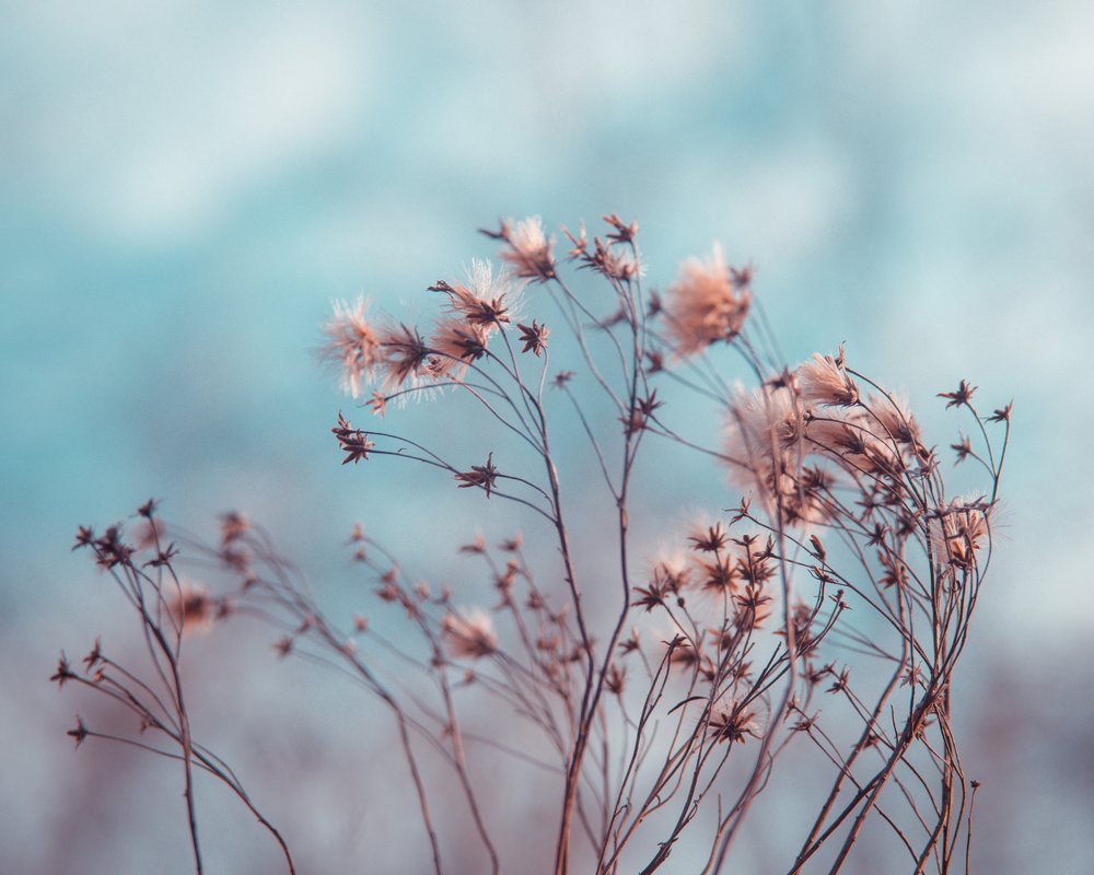 Photograph by Александр Битюков