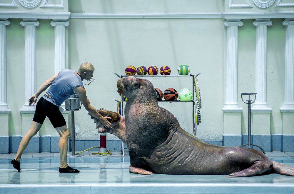 Photograph by Роман Приходько