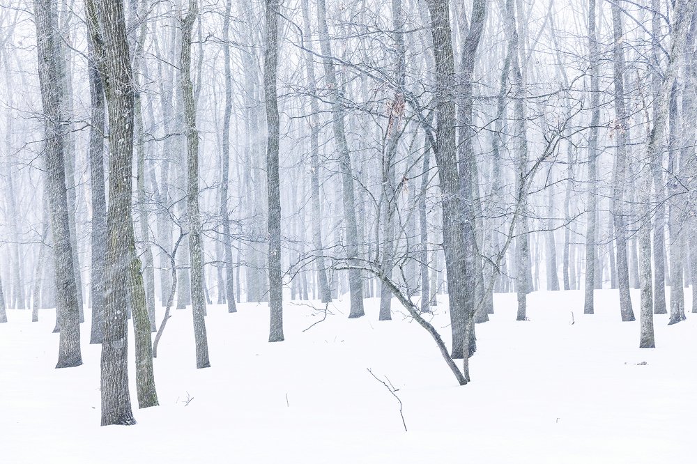 Photograph by Tudor Ghioc