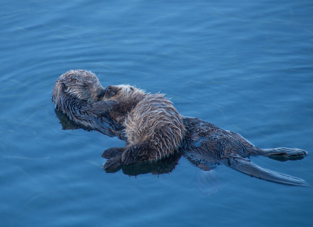 Photograph by Галина Михоношина