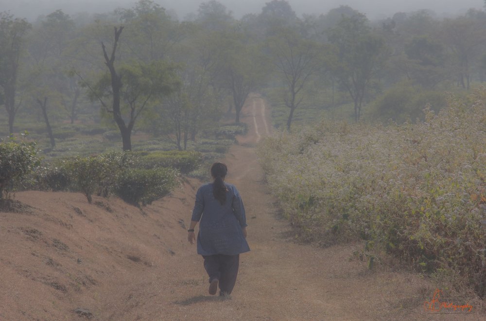 Photograph by Susobhan Biswas