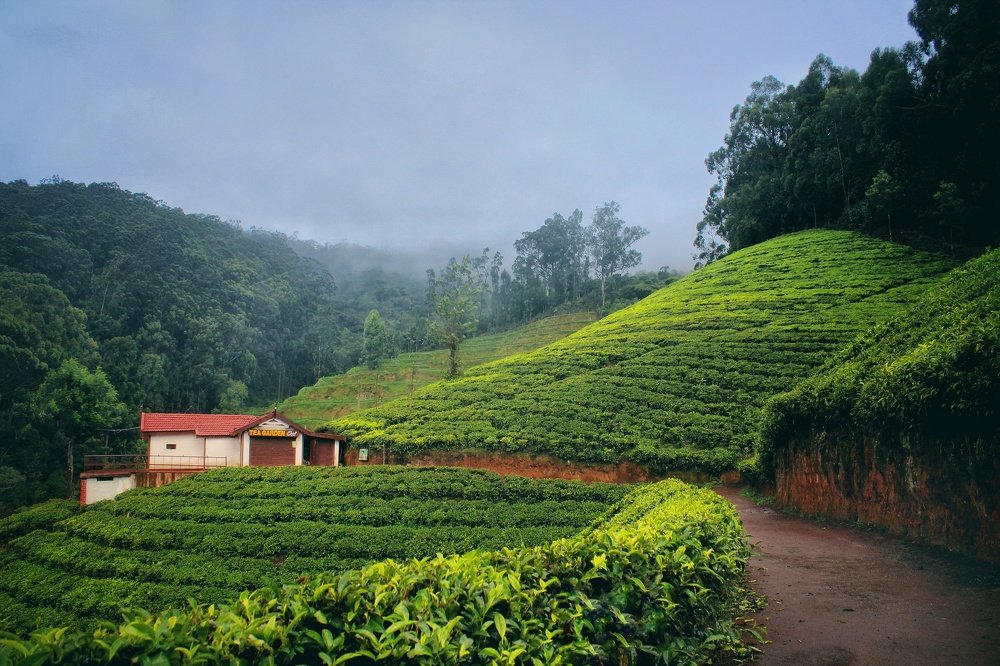 Photograph by Aravind Raulwar