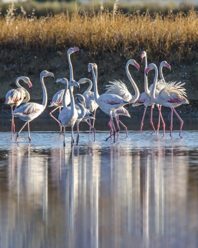 Фотография автора Joao Lelo