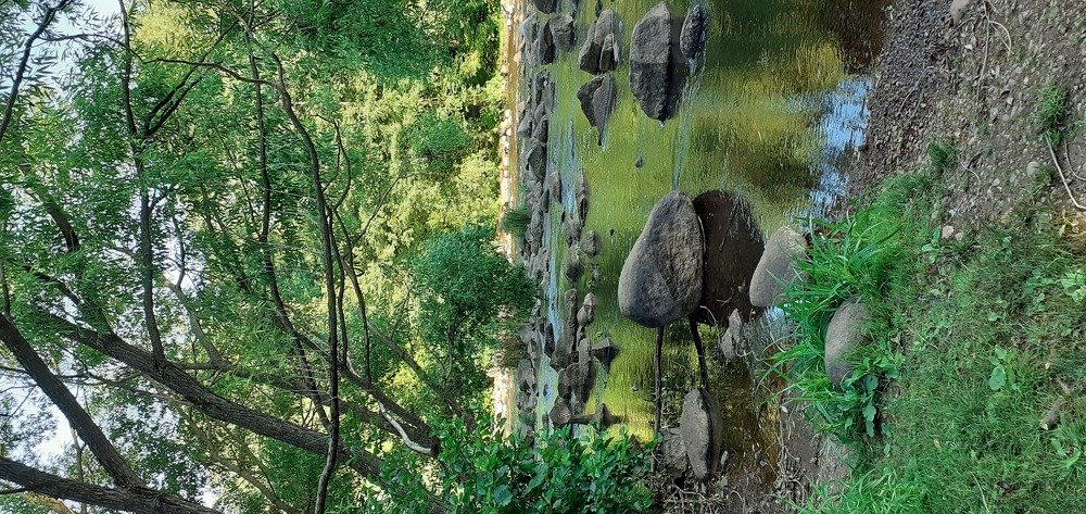 Photograph by Любовь Макарова