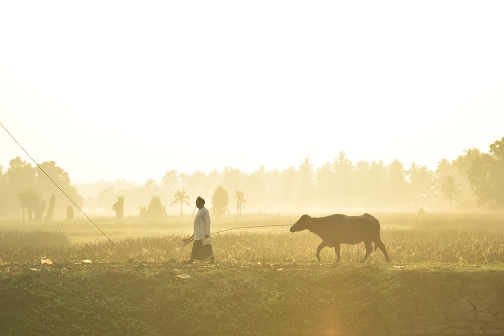 Photograph by Sanu Vj