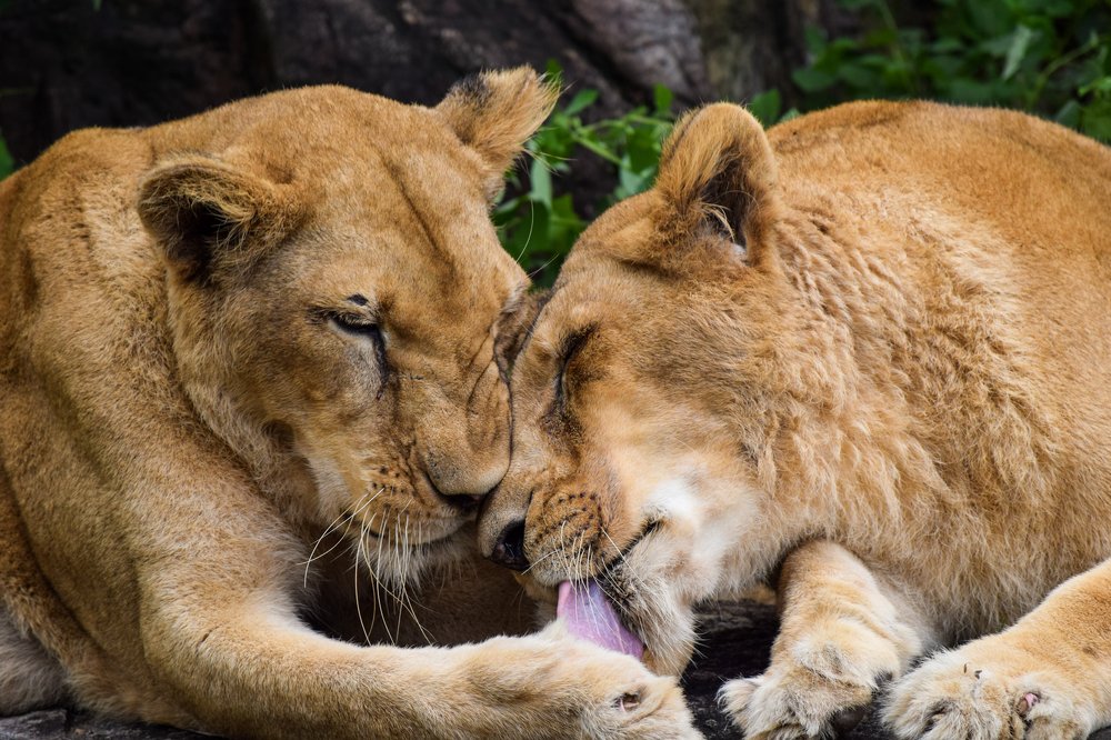 Photograph by Sanu Vj