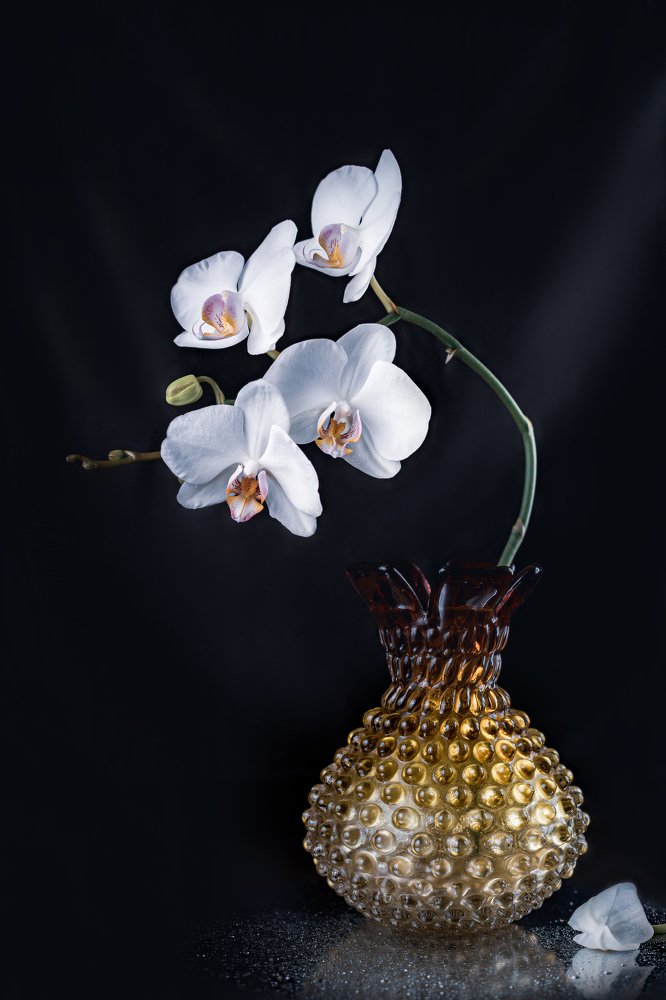 Photograph by Олег Войнилович