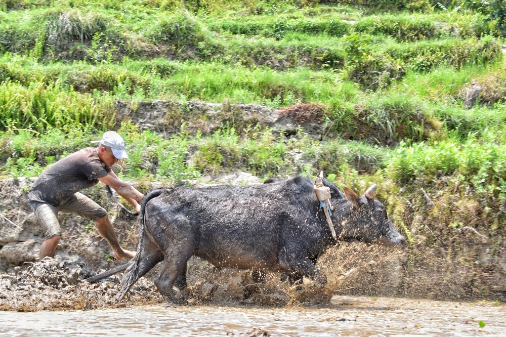 Photograph by Nishant Khadka