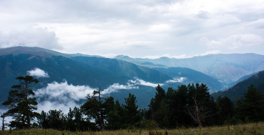 Photograph by Ирина Русинович