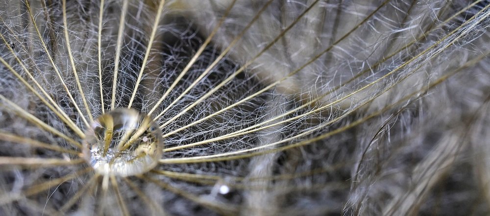 Photograph by Charis Christoforou