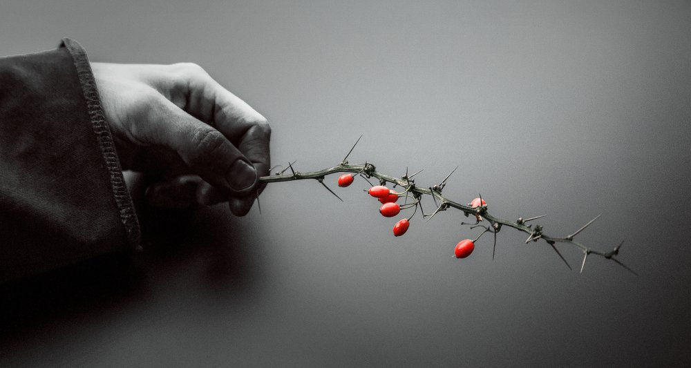 Photograph by Мария Никольская