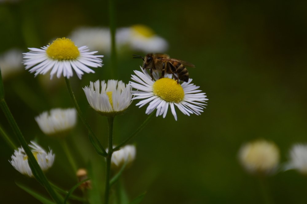 Photograph by aysun güneş