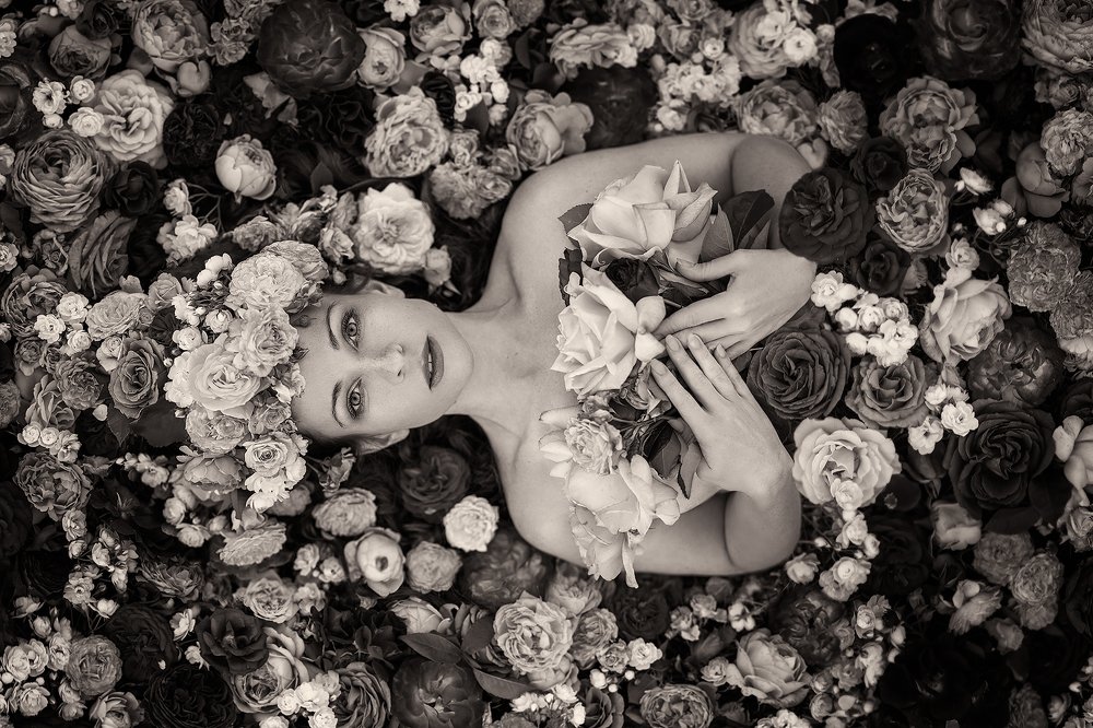 Photograph by Алёна Жаак