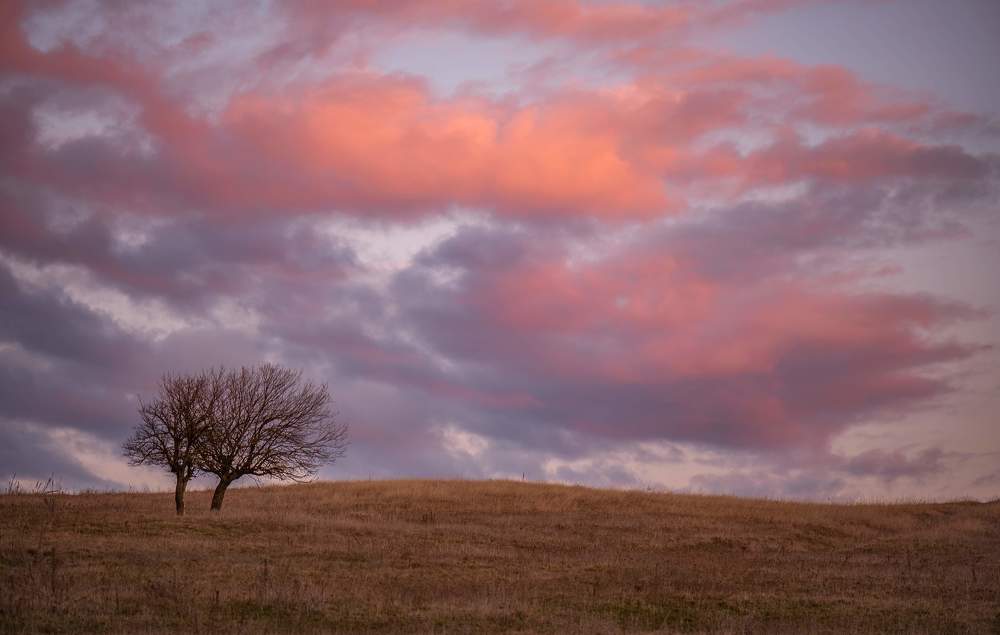 Фотография автора Konstantin Vladov