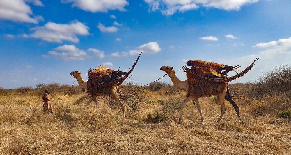 Photograph by SULEIMAN SANEY