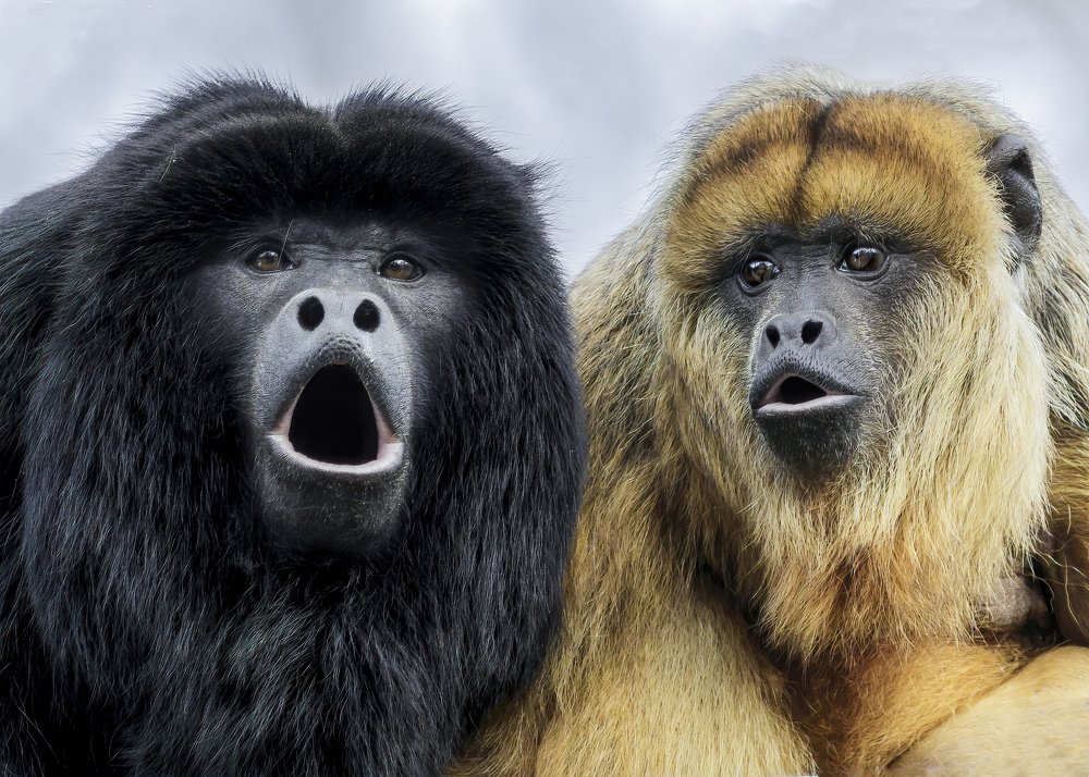 Photograph by Martijn den Oudsten