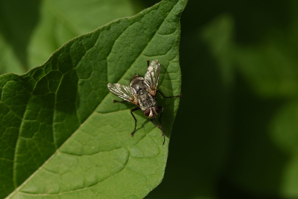 Photograph by Семен Батов