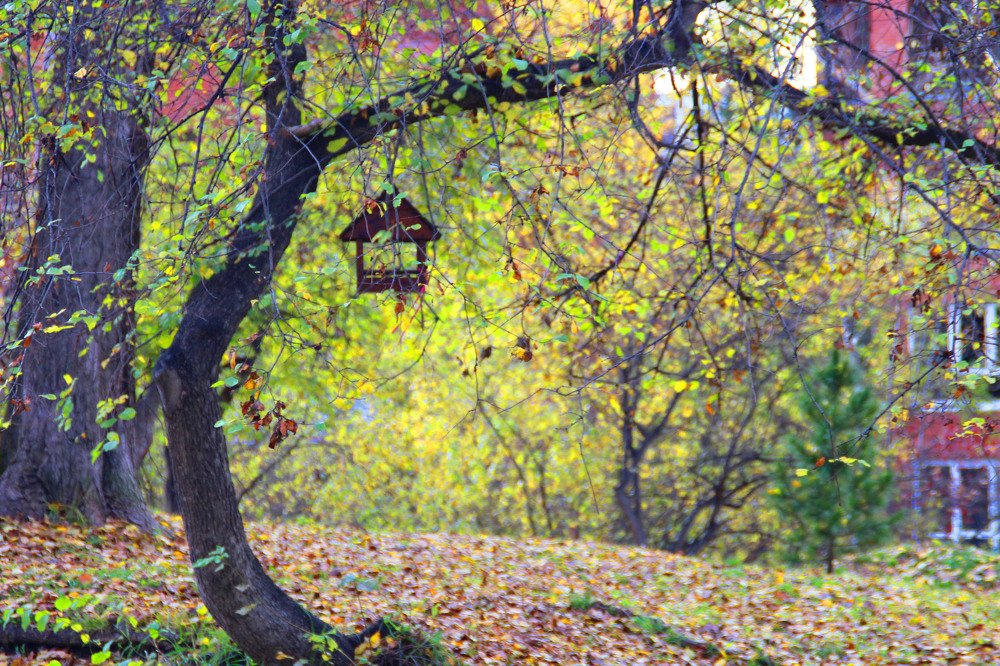 Дом надежды