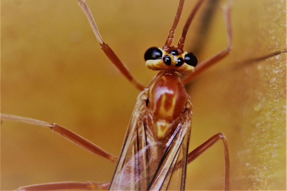 Photograph by Татьяна Фоевцева