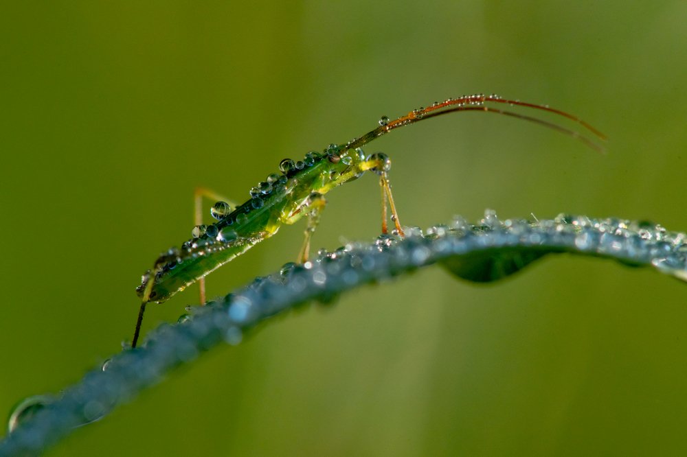 Photograph by Андрей Зуев