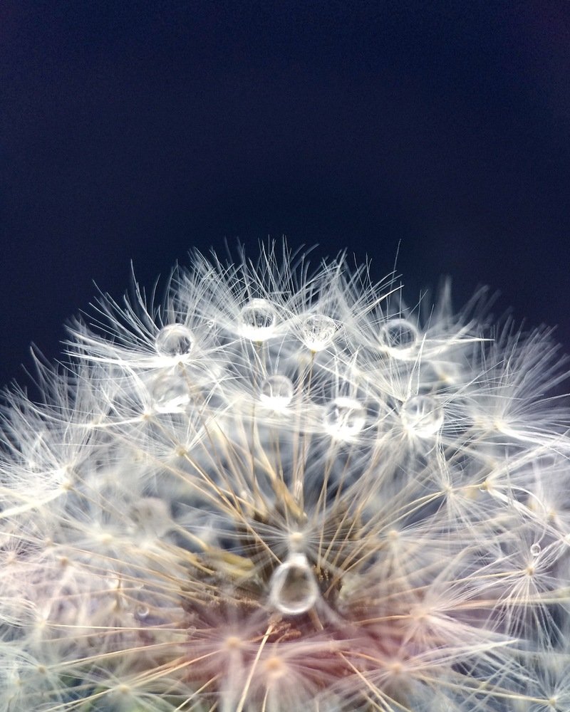 Тайные знания