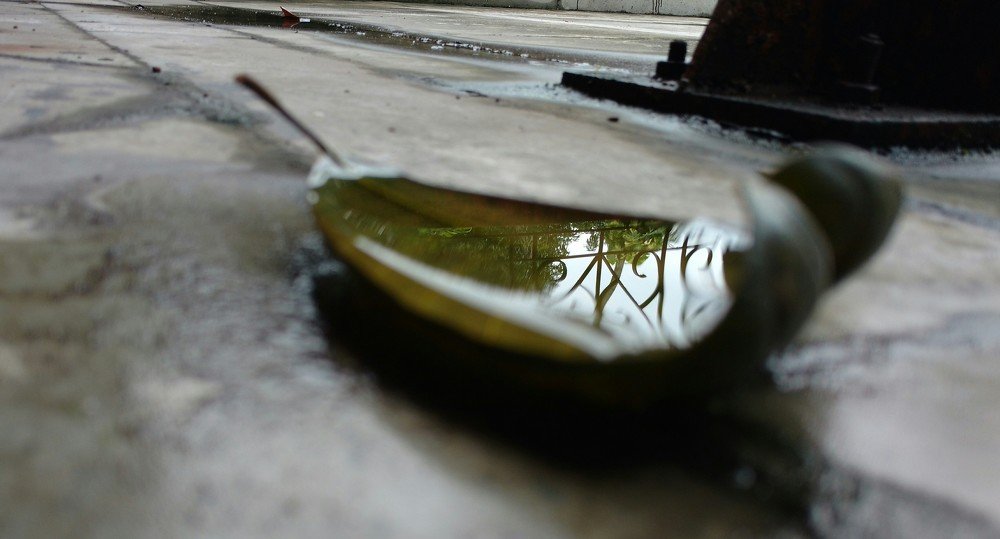 Photograph by Sarthak Banerjee