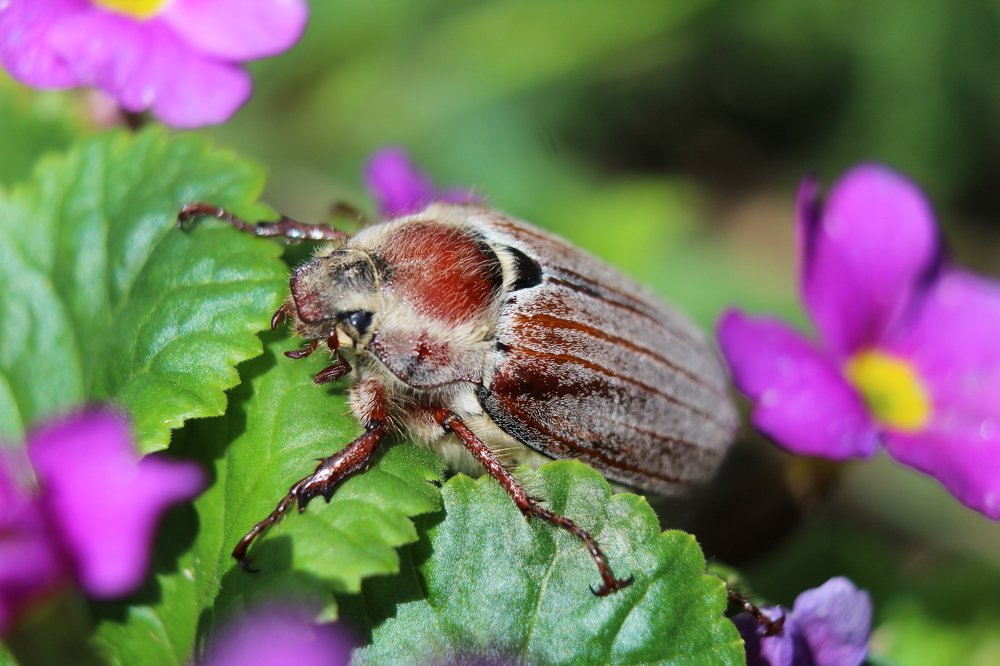Photograph by Татьяна Фоевцева