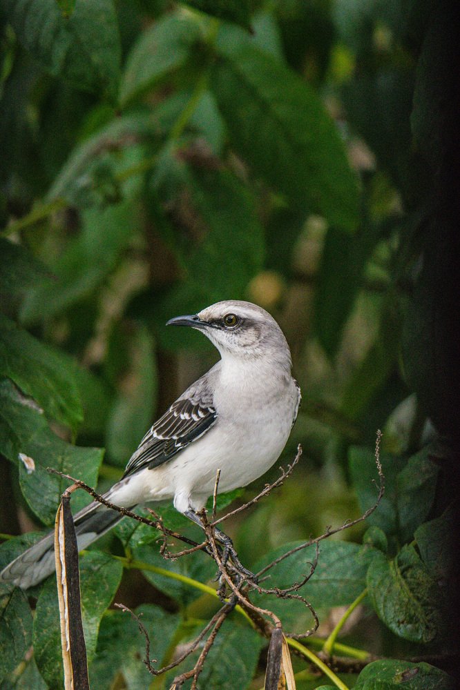 Photograph by Miguel Antonio Sevilla Flor