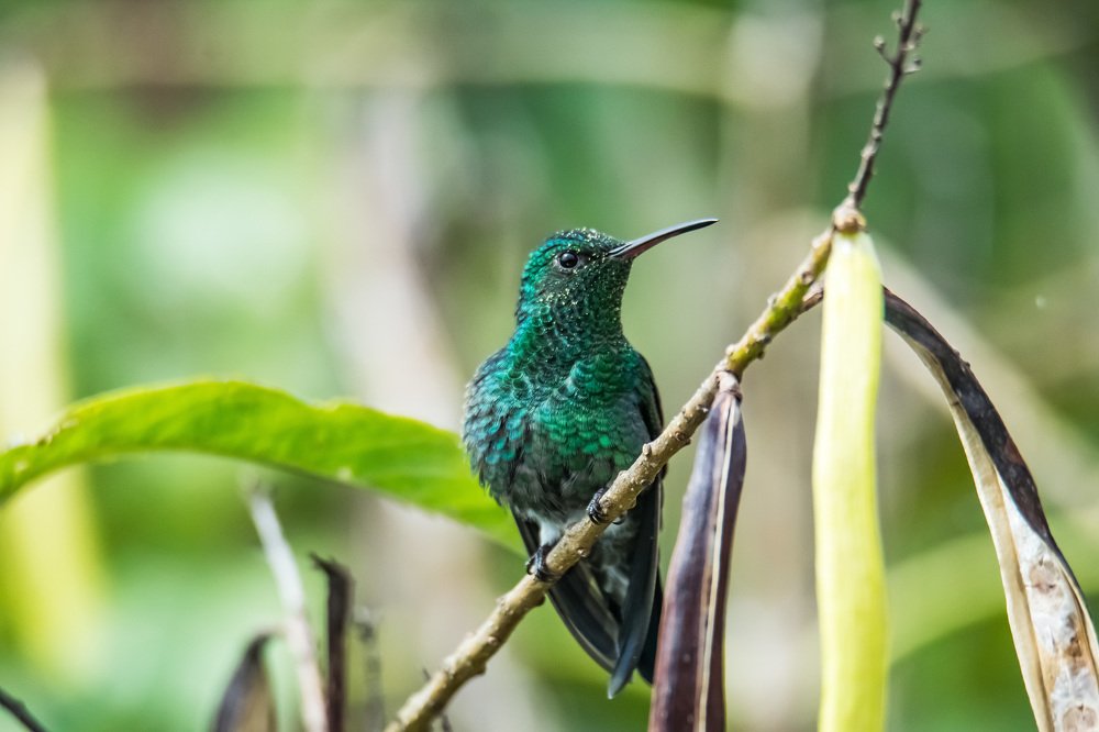 Photograph by Miguel Antonio Sevilla Flor