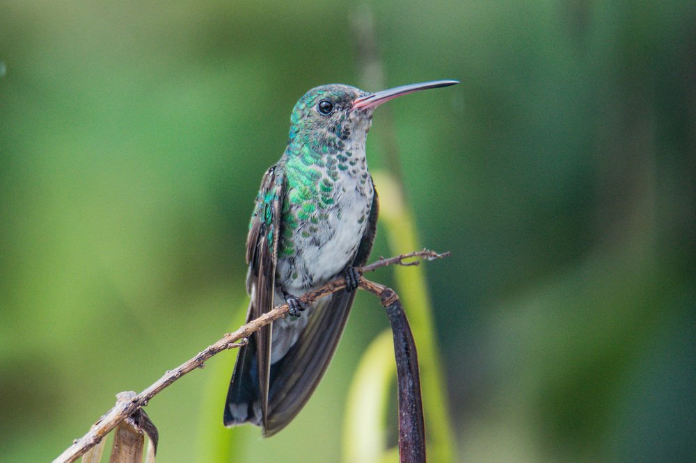 Photograph by Miguel Antonio Sevilla Flor