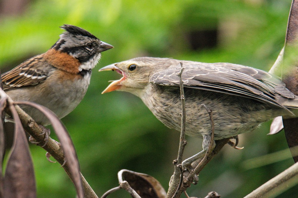 Photograph by Miguel Antonio Sevilla Flor