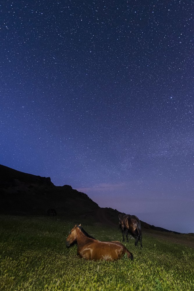 Photograph by rashtipour