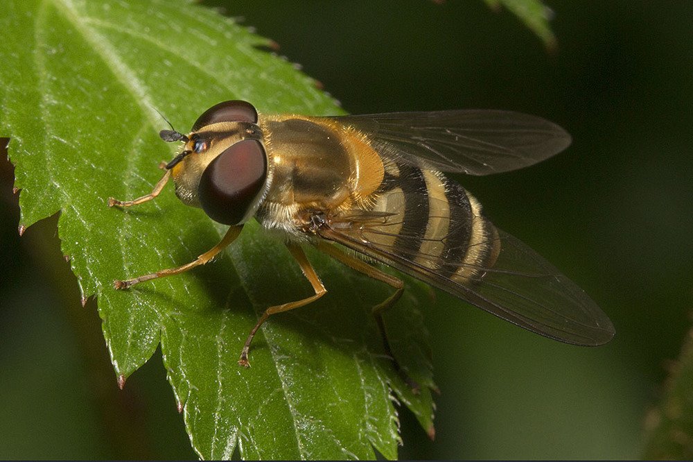 Фотография автора Марина Кулакова