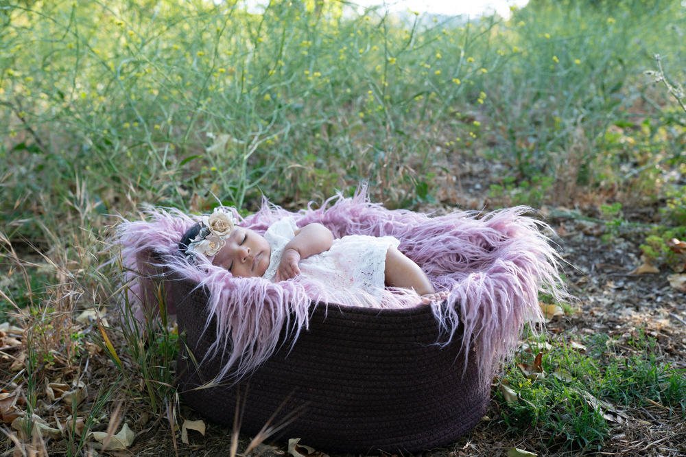 Photograph by Irina Trofimchuk