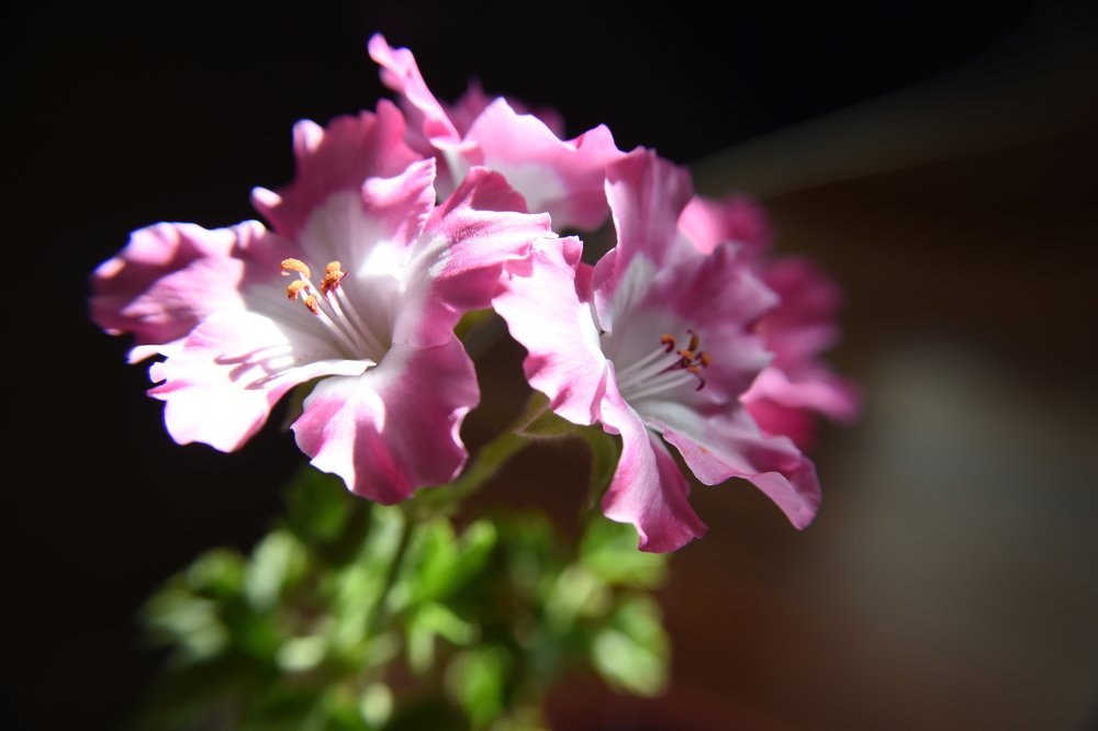 Photograph by Владимир Бутов