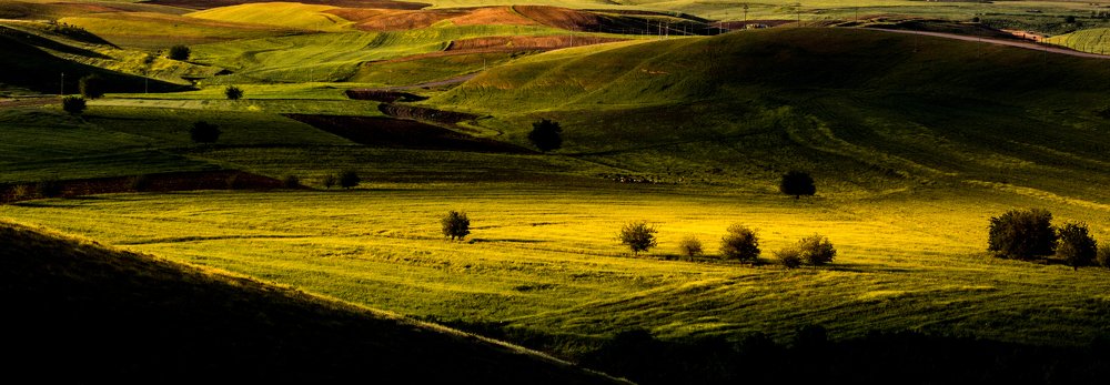 Photograph by Rawand Saeed Kakashekh