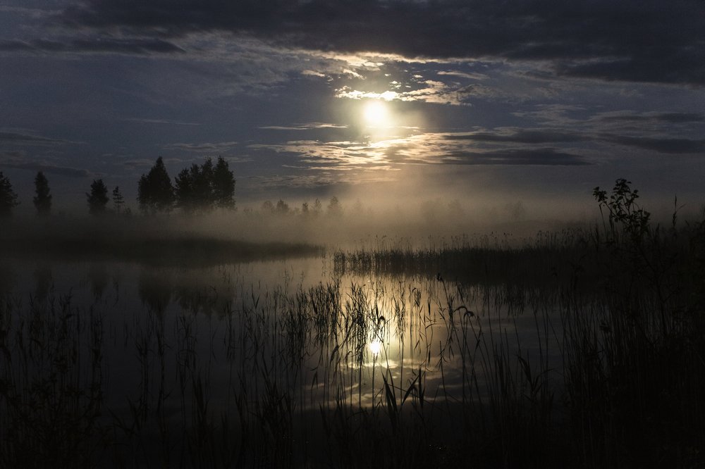 Photograph by Евгений Цветков