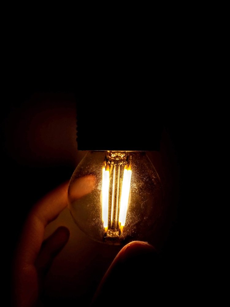 Photo #4745835