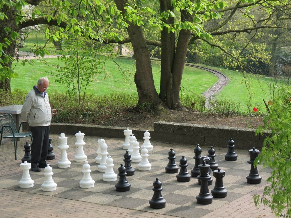 На отдыхе в парке