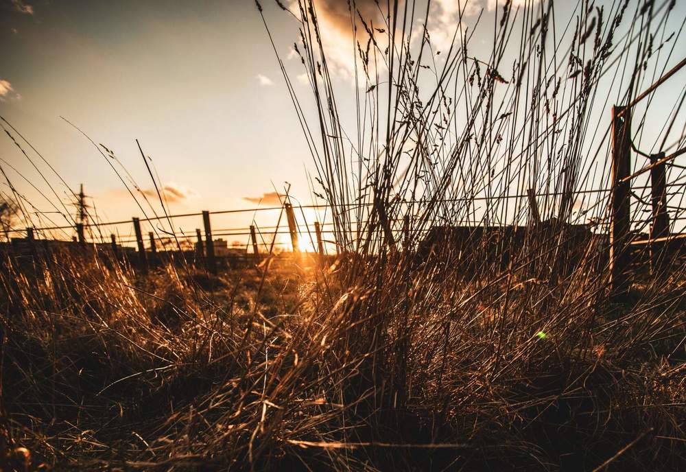 Photograph by Филипп Антонюк