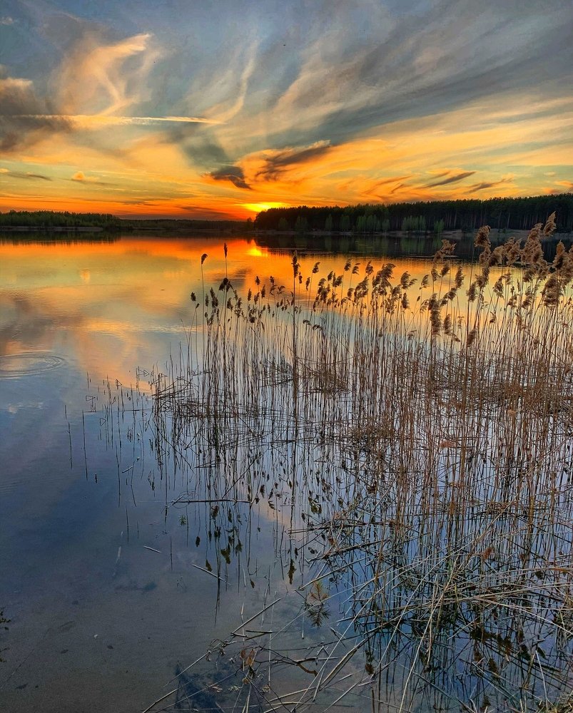 Photograph by Юлия Гусарова