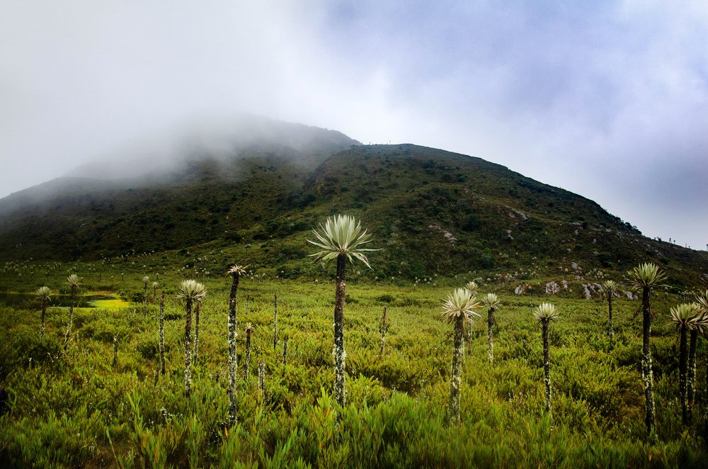 Photograph by Santiago Moreno