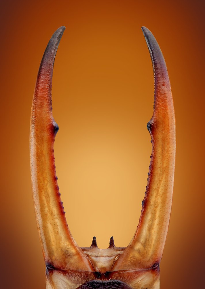 Photograph by faycal.mimoun