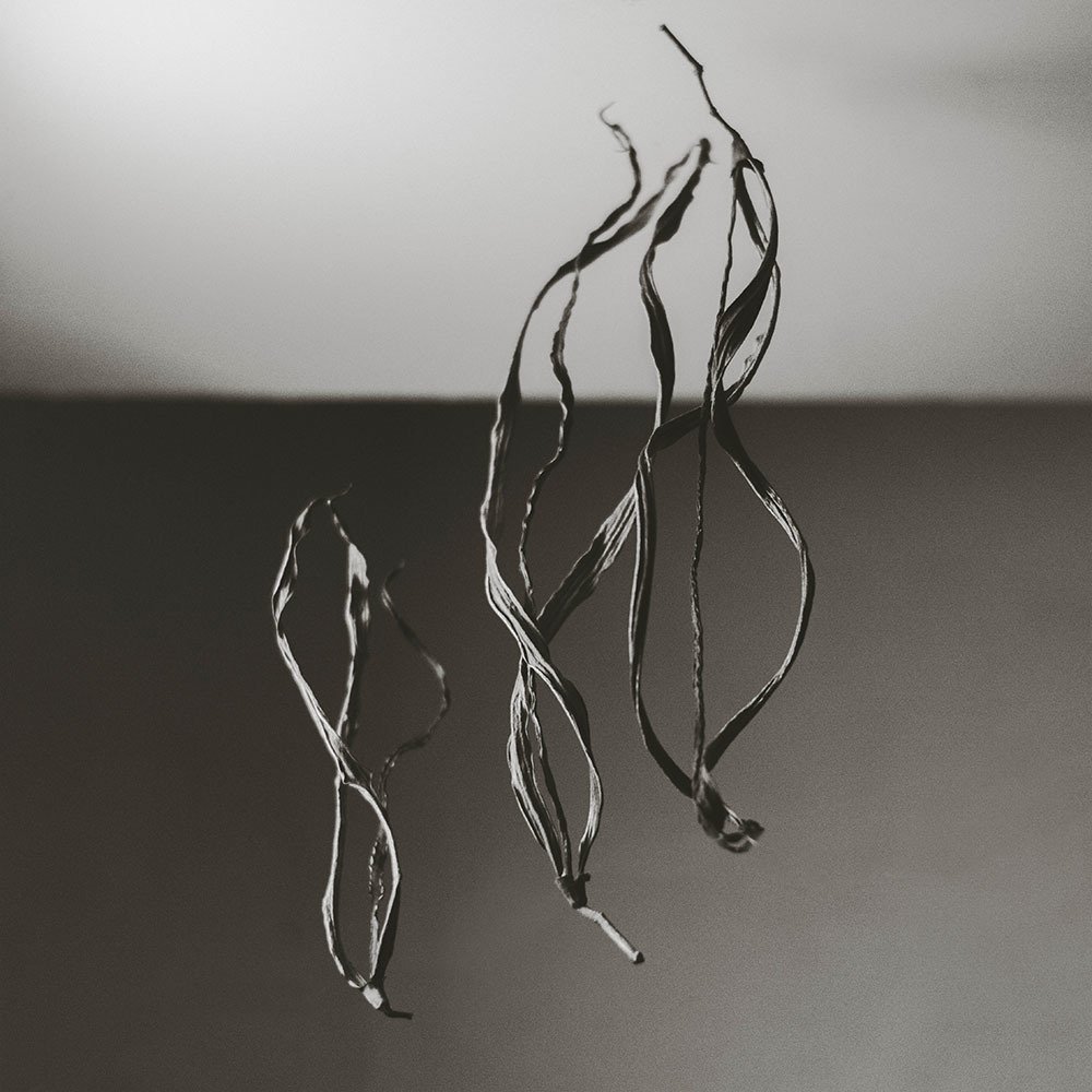 Photograph by Daniel Santolo