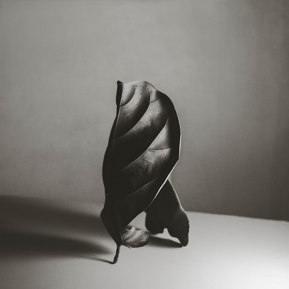 Photograph by Daniel Santolo