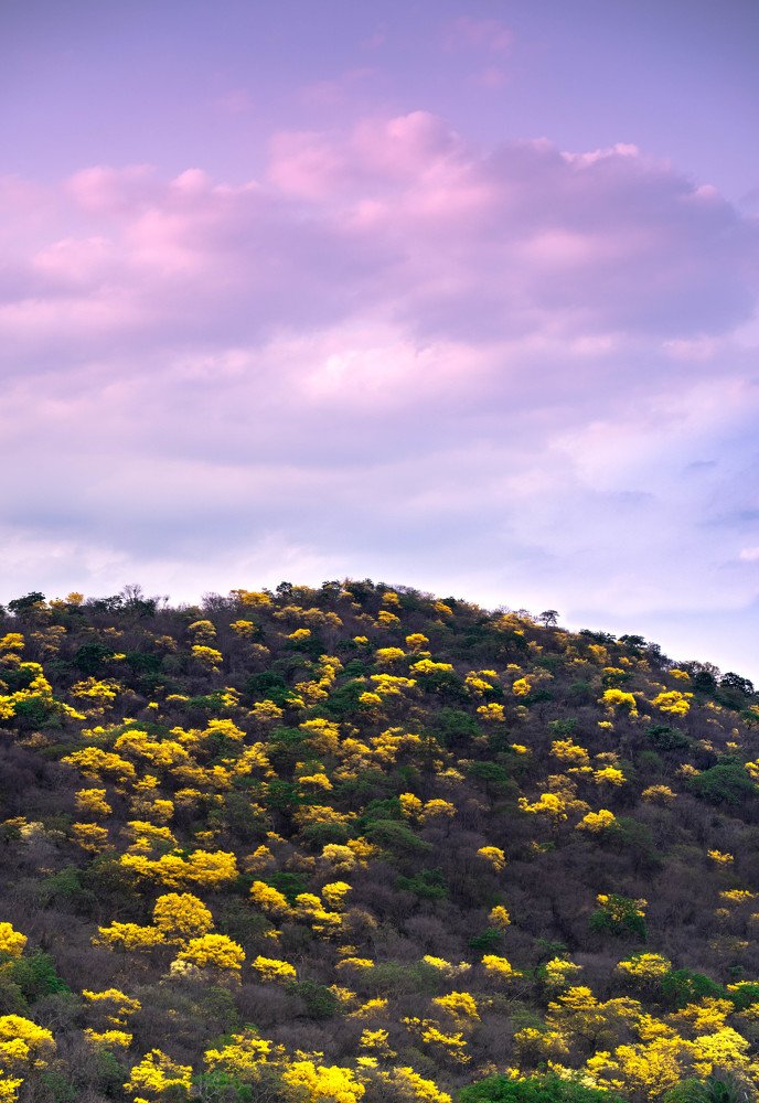 Photograph by Santiago Moreno